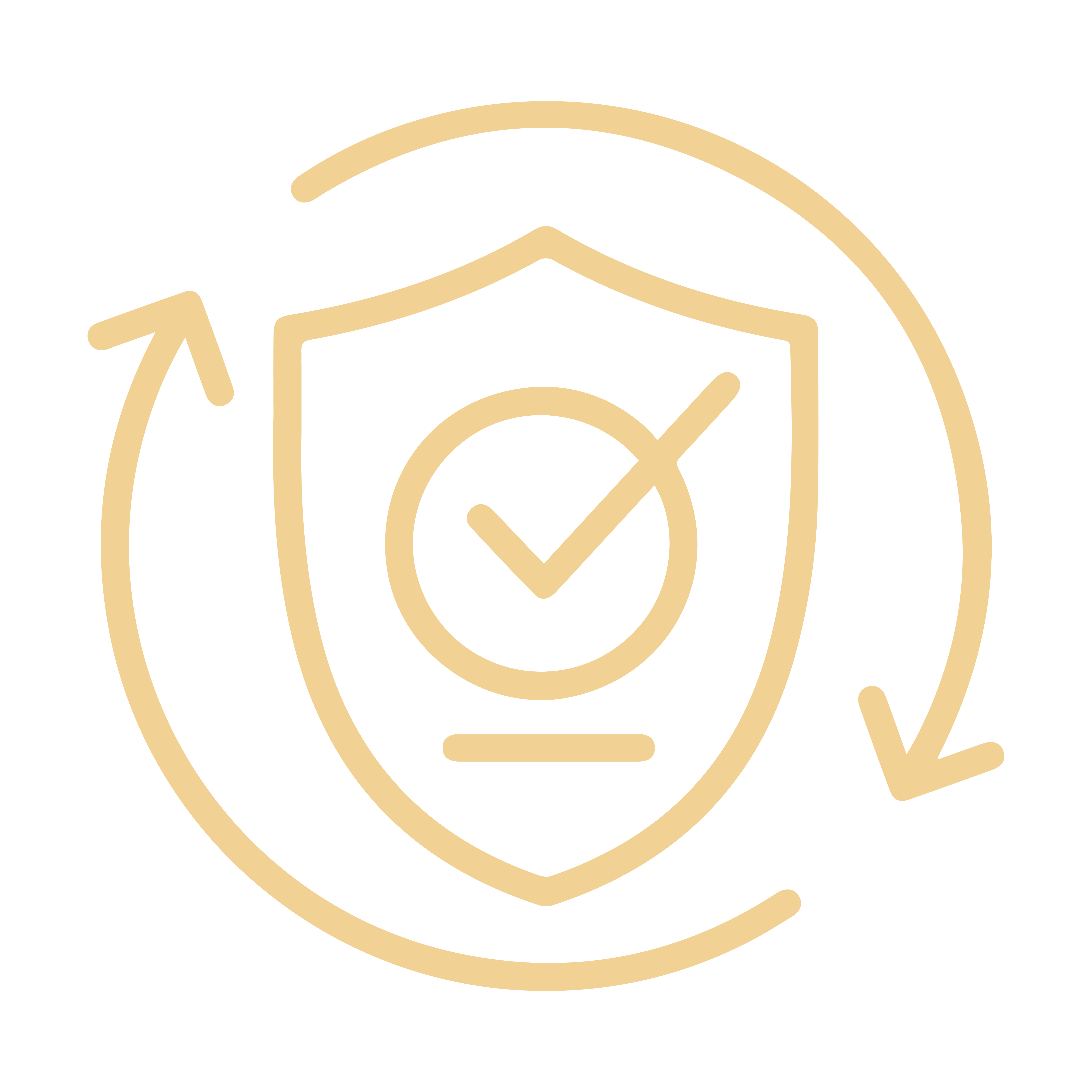 Compliance Icon