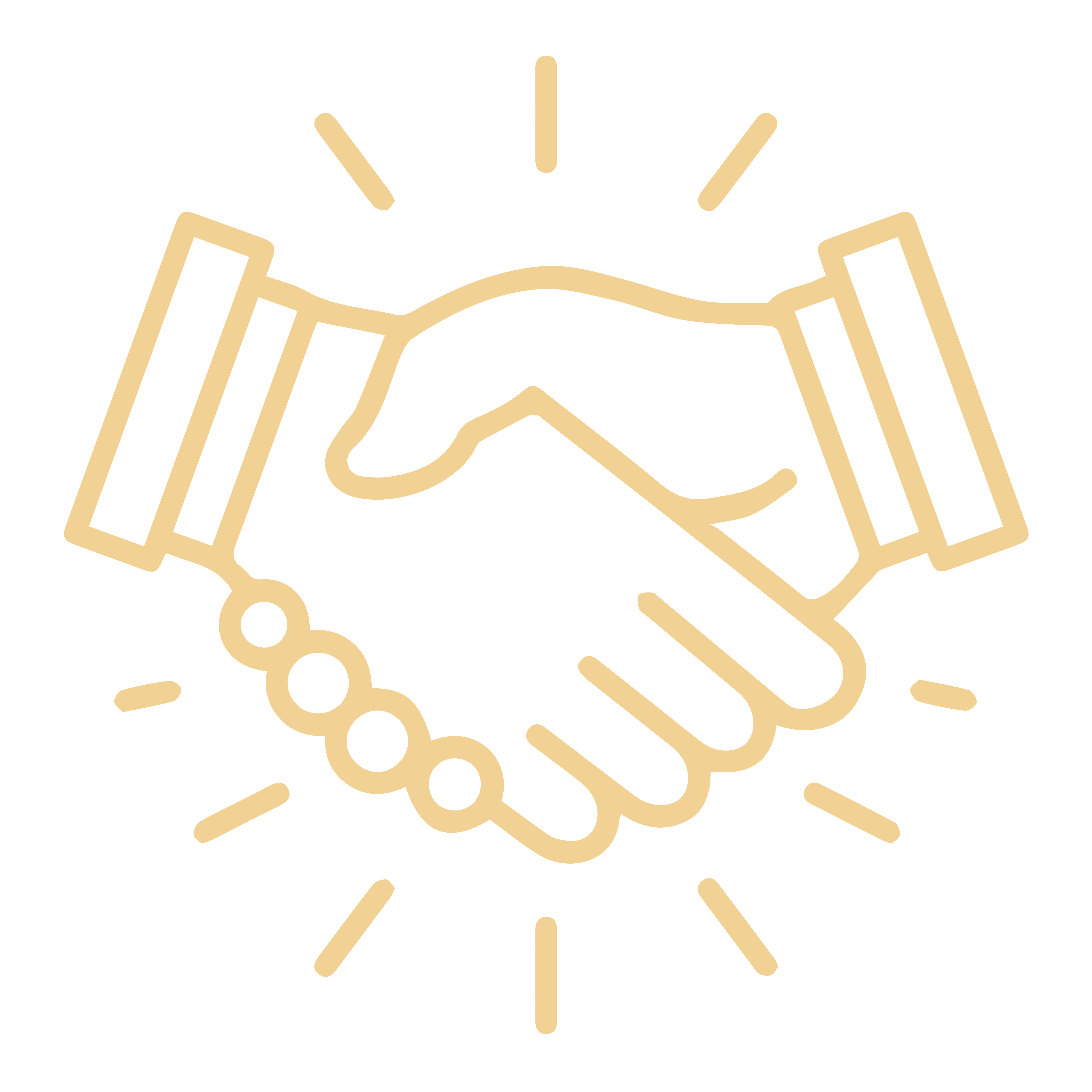 Partnership Icon